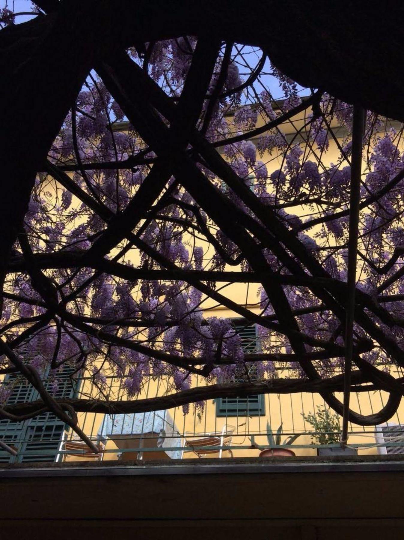 Hotel Stipino Lukka Zewnętrze zdjęcie